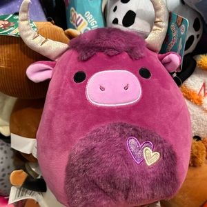 York the Highland Cow